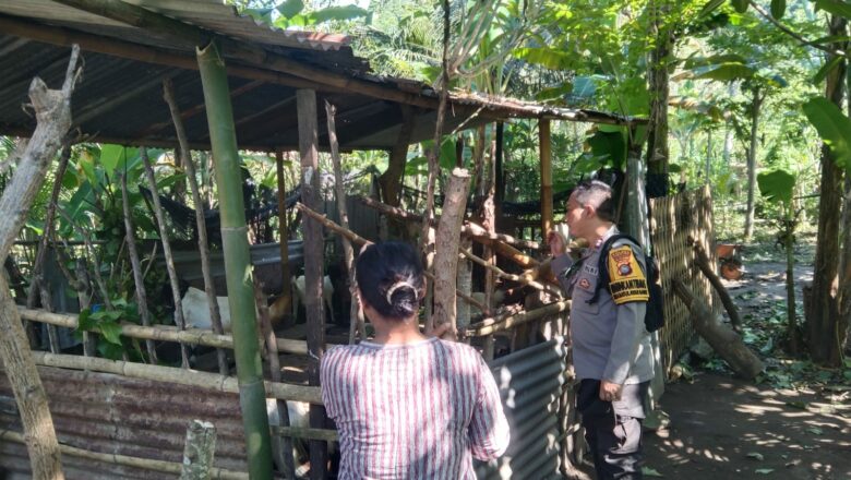Meningkatkan Ketahanan Pangan: Peran Polri dalam Pemanfaatan Pekarangan Rumah