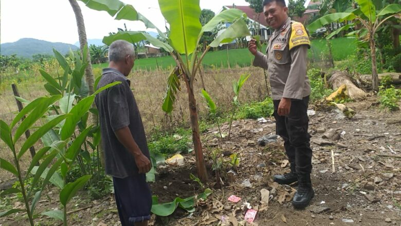 Sinergi Bhabinkamtibmas dan Petani Desa Jagaraga Dukung Ketahanan Pangan Nasional