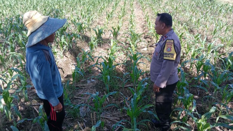 Peran Strategis Polisi Desa dalam Program Ketahanan Pangan Nasional