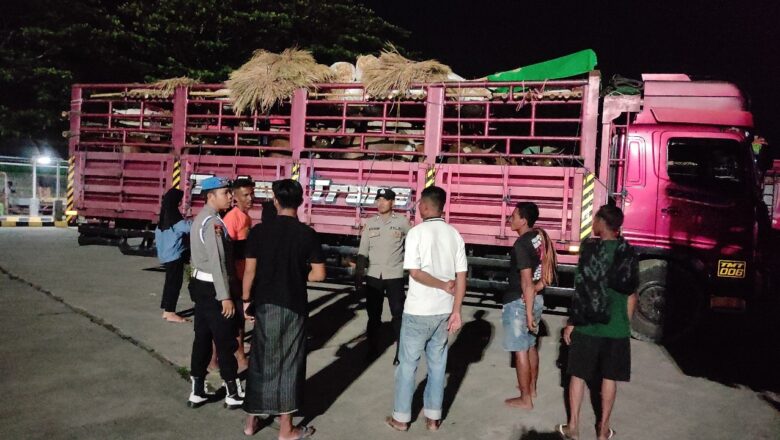 Polsek Lembar Tertibkan Proses Pemuatan Truk Ternak Sapi di Pelabuhan ASDP