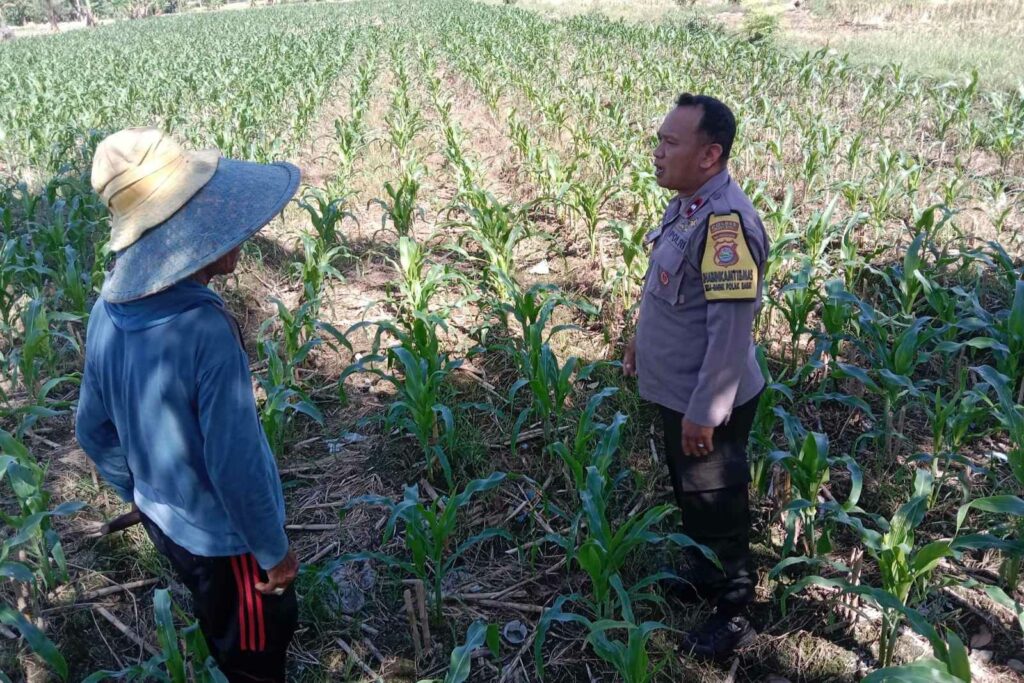 Bhabinkamtibmas Desa Bagik Polak Barat Dorong Kemandirian Pangan