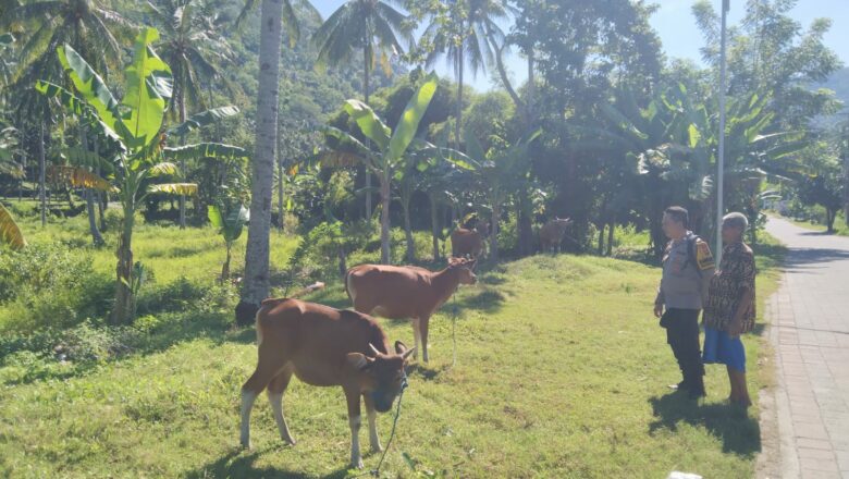 Polsek Batulayar Inisiasi Edukasi Pangan Mandiri dari Lahan Pekarangan Warga