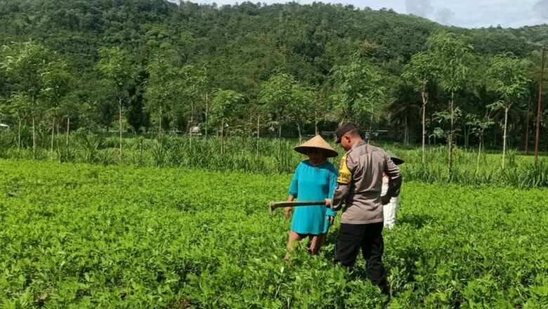 Sinergi Polisi dan Petani Wujudkan Kemandirian Pangan