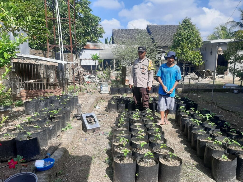 Meningkatkan Kemandirian Pangan: Bhabinkamtibmas Kuripan Utara Gelar Sosialisasi