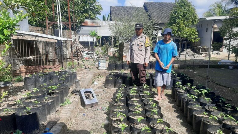 Polri Dukung Ketahanan Pangan Melalui Program Sosialisasi di Desa Kuripan Utara