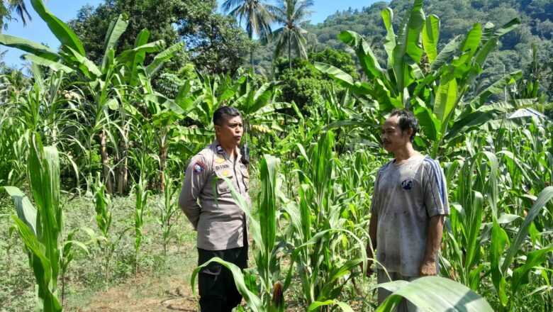 Polisi Desa Dorong Pemanfaatan Lahan Kosong untuk Ketahanan Pangan