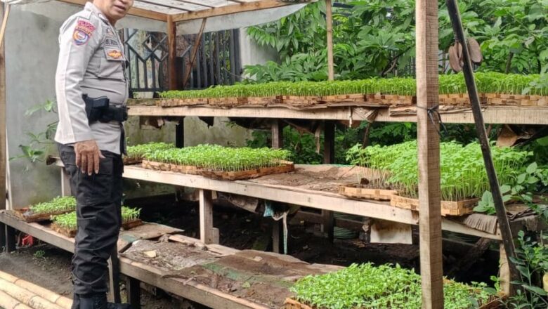 Bhabinkamtibmas Terjun Langsung Dorong Pekarangan Bergizi