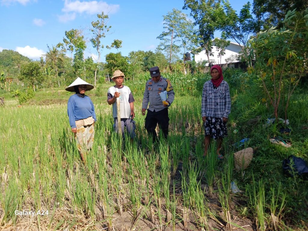 Bhabinkamtibmas Desa Giri Tembesi Berikan Motivasi dan Saran Pertanian kepada Petani