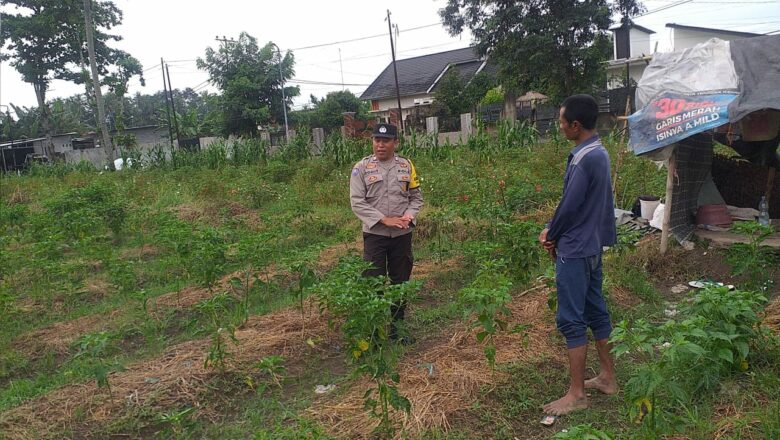 Bhabinkamtibmas Lombok Barat Gelar Sosialisasi Ketahanan Pangan di Desa Jagaraga