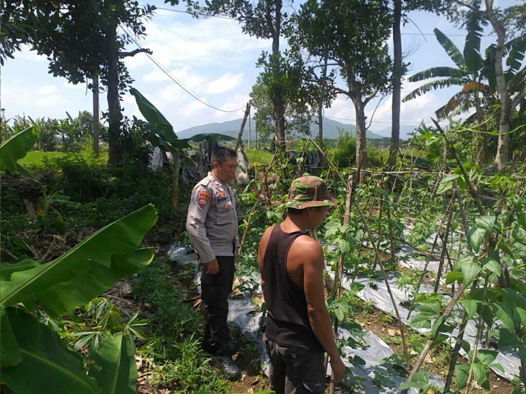 Polsek Kuripan Aktif Sosialisasi Ketahanan Pangan ke Petani Desa Jagaraga