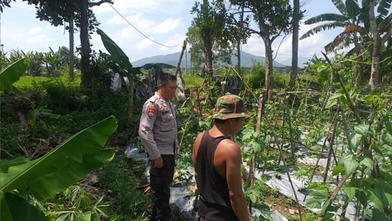 Sinergi Polri dan Warga: Wujud Nyata Dukung Ketahanan Pangan di Lombok Barat