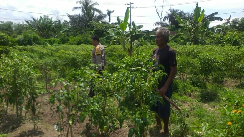 Bhabinkamtibmas Dorong Warga Optimalkan Lahan untuk Pangan