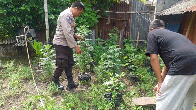 Bhabinkamtibmas Dorong Ketahanan Pangan Desa di Lombok Barat