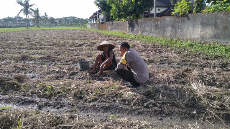 Sinergi Polri dan Masyarakat dalam Mewujudkan Ketahanan Pangan di Lombok Barat