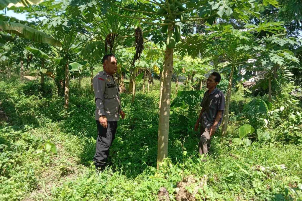 Sinergi Warga dan Polisi Gerakkan Pertanian Rumah Tangga