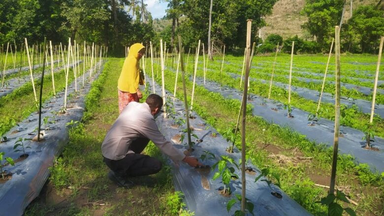 Sinergi Polri dan Petani: Upaya Menjaga Kamtibmas dan Ketahanan Pangan