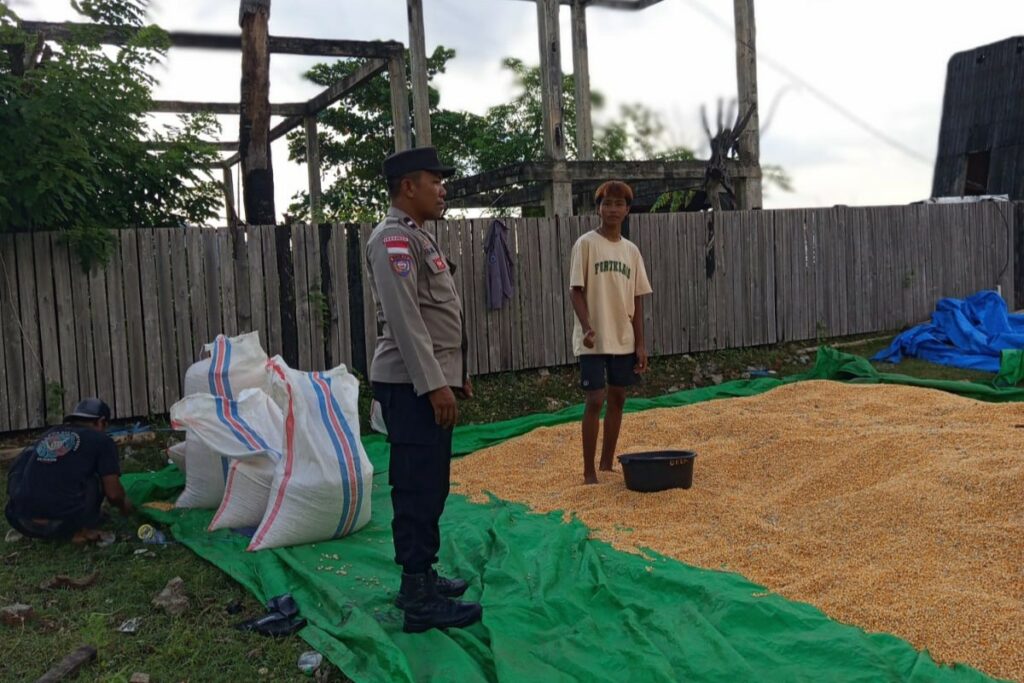 Bhabinkamtibmas Sekotong Barat Aktif Jaga Ketahanan Pangan dan Sampaikan Pesan Kamtibmas