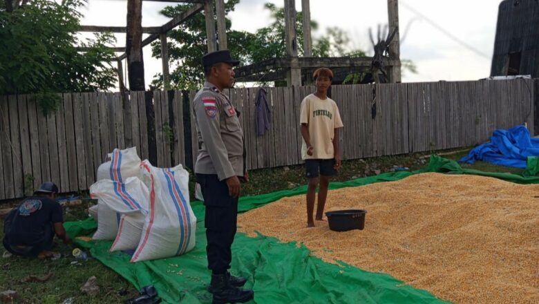 DDS Bhabinkamtibmas: Menyapa Petani, Menjaga Sekotong Barat