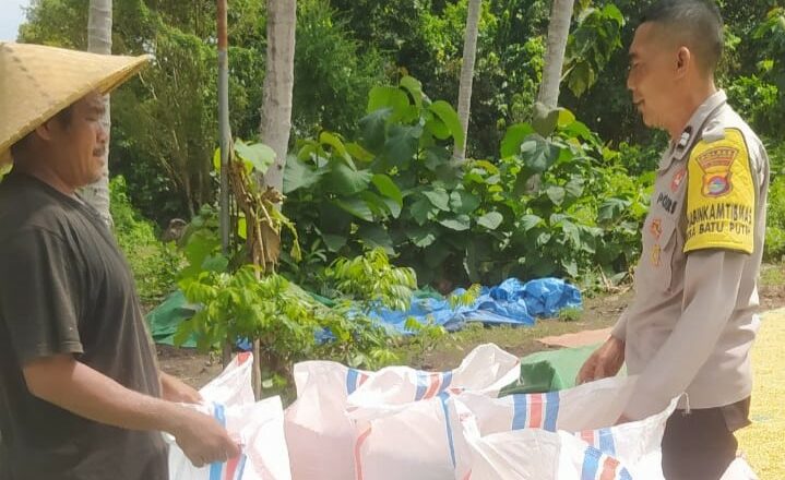 Bhabinkamtibmas Sekotong Dukung Petani Jagung Jaga Kamtibmas