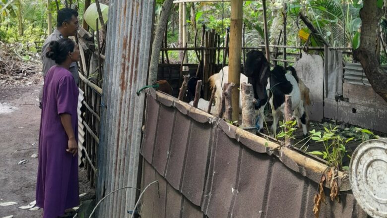 Bhabinkamtibmas Desa Senggigi Dorong Pemanfaatan Lahan Kosong untuk Pangan