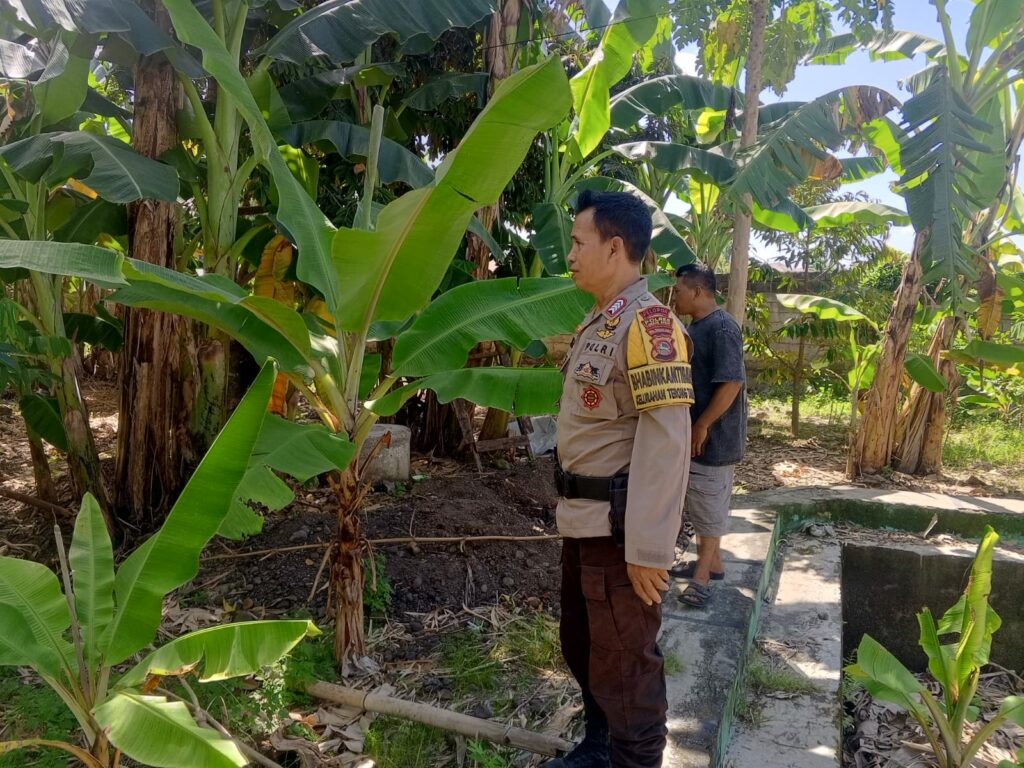 Program Ketahanan Pangan Desa Terong Tawah: Peran Bhabinkamtibmas dalam Pengecekan Lahan dan Pemantauan Harga