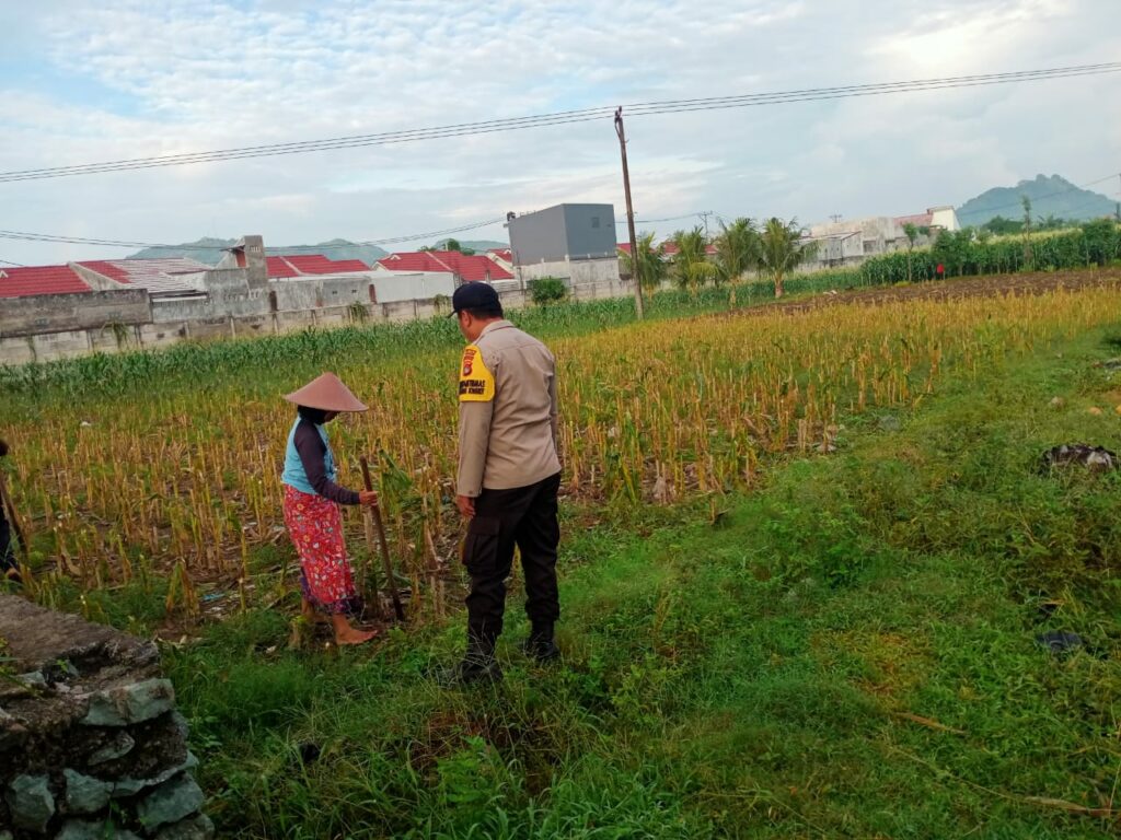 Sinergi Polri dan Warga Kembangkan Ketahanan Pangan Desa