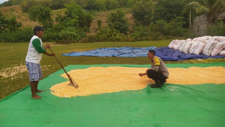 Polri Jalin Sinergi Petani untuk Wujudkan Ketahanan Pangan di Sekotong