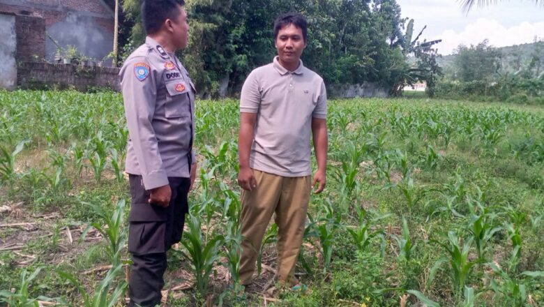 Sinergi Polri-Masyarakat Wujudkan Ketahanan Pangan di Lombok Barat