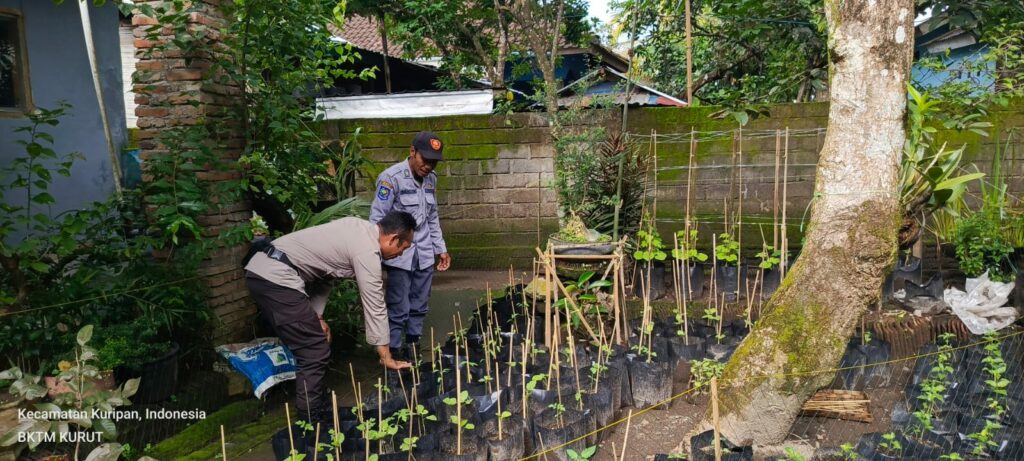 Bhabinkamtibmas Kuripan Edukasi Warga Soal Ketahanan Pangan Lokal