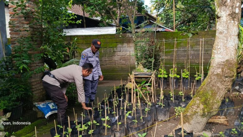 Sinergi Polri dan Warga: Ketahanan Pangan Dimulai dari Pekarangan