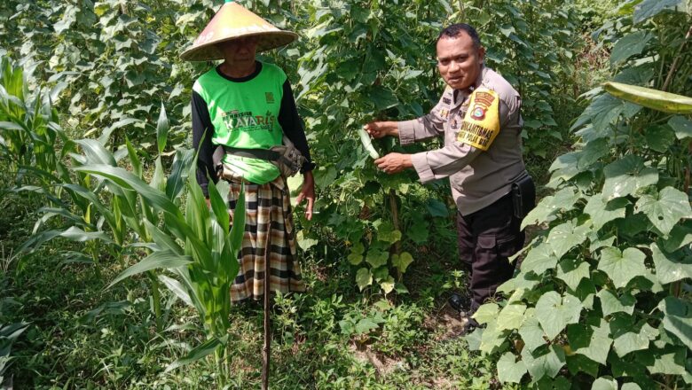 Bhabinkamtibmas Ajak Warga Tanam Pangan untuk Dukung Ketahanan Nasional