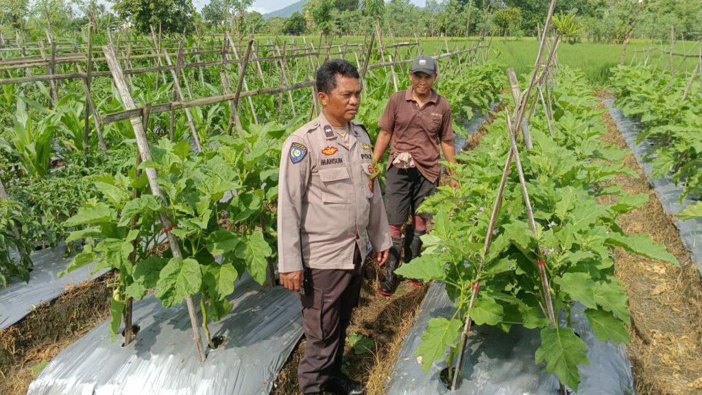 Silaturahmi Kamtibmas dan Pangan: Peran Polisi di Desa