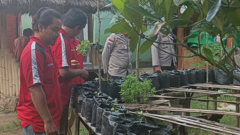 Sinergi Polsek Sekotong dan UPT Pertanian Tingkatkan Ketahanan Pangan di Lombok Barat