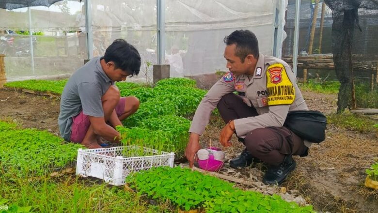 Bhabinkamtibmas Desa Kuripan Utara Sosialisasikan Ketahanan Pangan Nasional