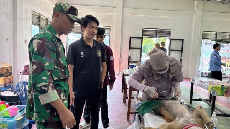 Babinsa Dampingi Sterilisasi Anjing Liar di Lingsar