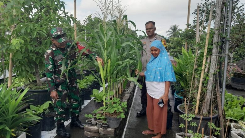 Babinsa, Bhabinkamtibmas dan Kasi Sosial Dukung Ketahanan Pangan Keluarga