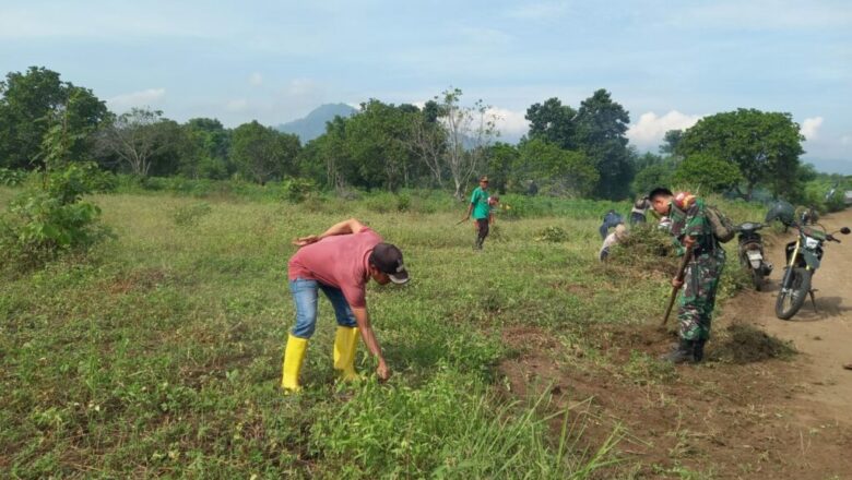 Gotong Royong Warga Rempek Sambut Kehadiran Ustaz Abdul Somat