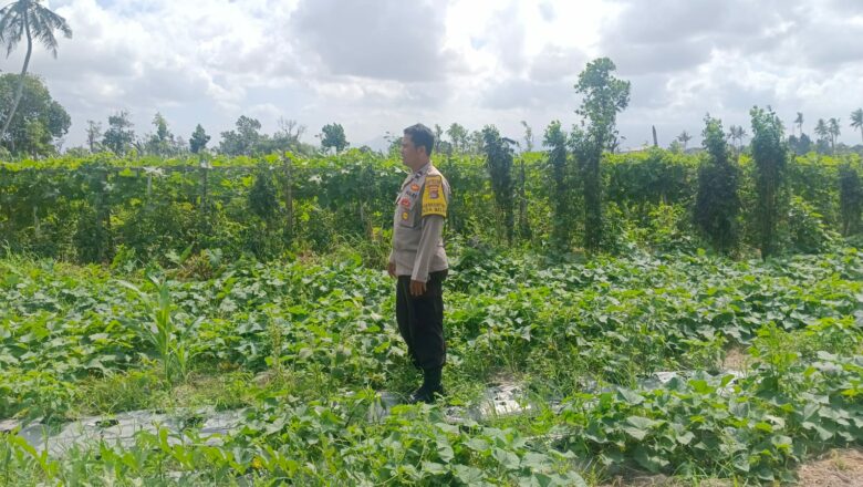 Bhabinkamtibmas Aktif Bina Petani Desa Beleka NTB