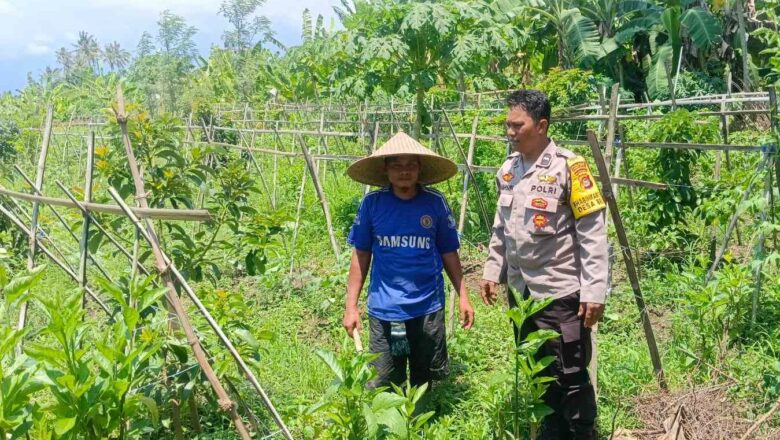 Polri dan Petani Bersinergi Wujudkan Ketahanan Pangan Desa Beleka