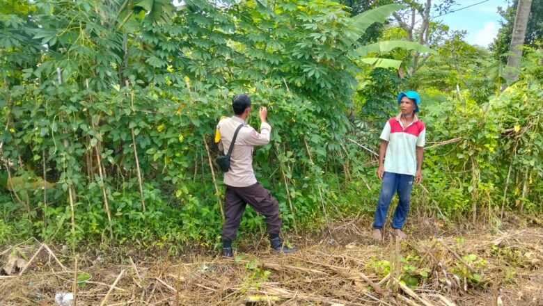 Bhabinkamtibmas Desa Rumak Aktif Edukasi Warga Soal Swasembada Pangan