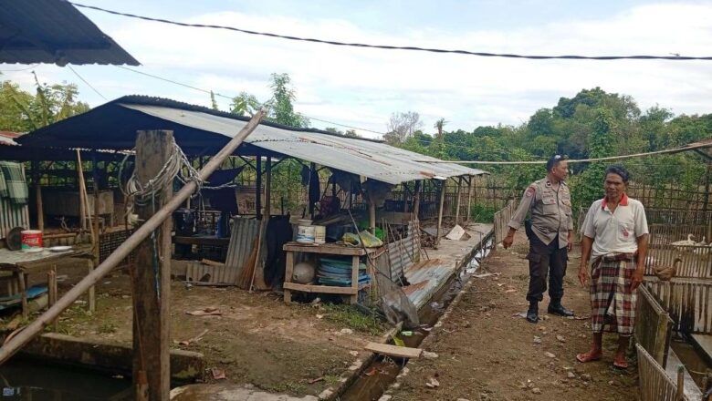 Polri Aktif Kembangkan Swasembada Pangan di Desa Merembu