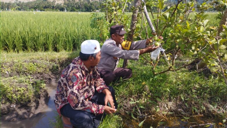 Sinergi Polri dan Petani di Gerung Perkuat Ketahanan Pangan