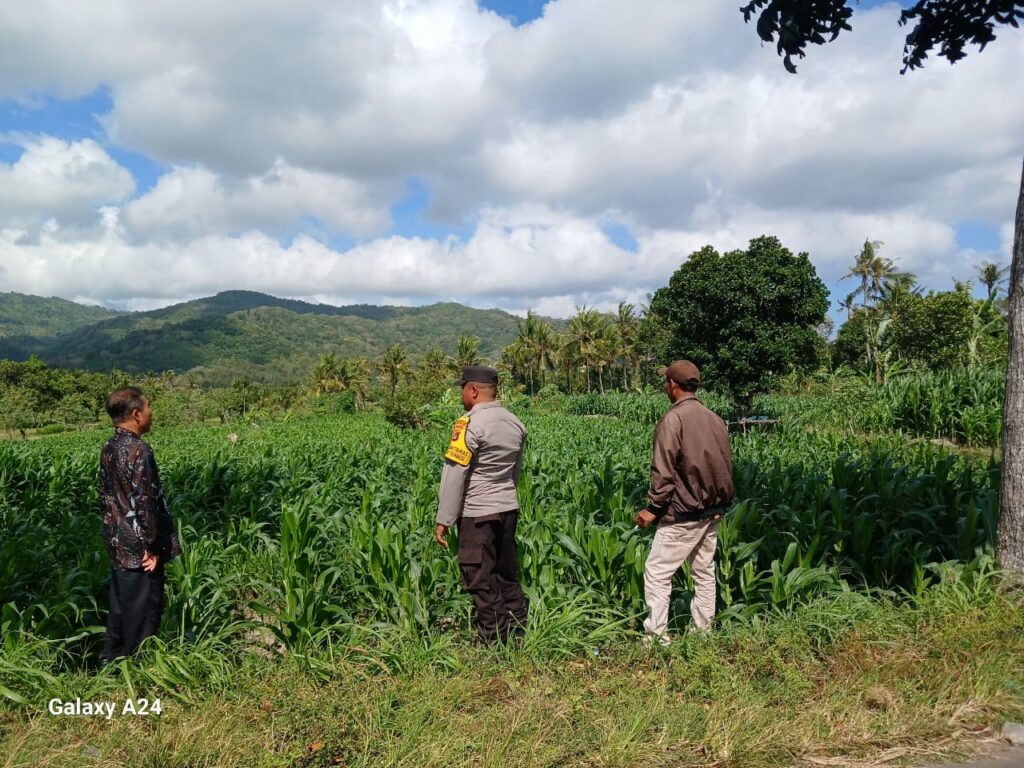 Perhatian Polri untuk Petani Lombok Barat: Edukasi dan Pendampingan Langsung