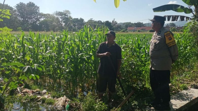 Polsek Gerung Aktif Dampingi Petani Lombok Barat Tingkatkan Produktivitas