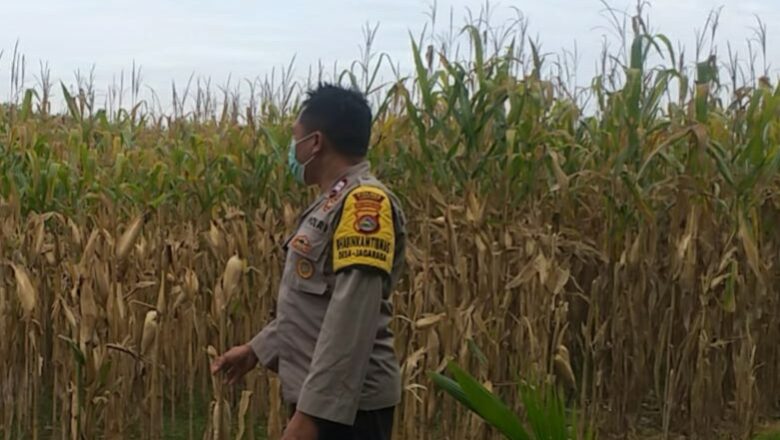 AIPTU Gede Dodit Dorong Pemanfaatan Lahan di Kuripan Lombok Barat