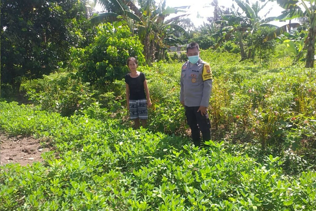 Ketahanan Pangan Desa Jagaraga Diperkuat Lewat Pendampingan Polri