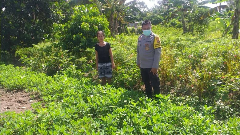 Bhabinkamtibmas Jagaraga Giatkan Swasembada Pangan di Kuripan