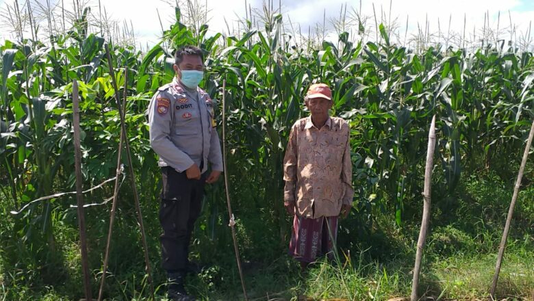 Peran Bhabinkamtibmas dalam Wujudkan Ketahanan Pangan Lokal