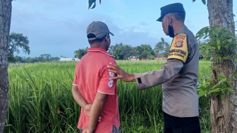 Ketahanan Pangan Dimulai dari Desa Kuripan: Polisi Turun Tangan