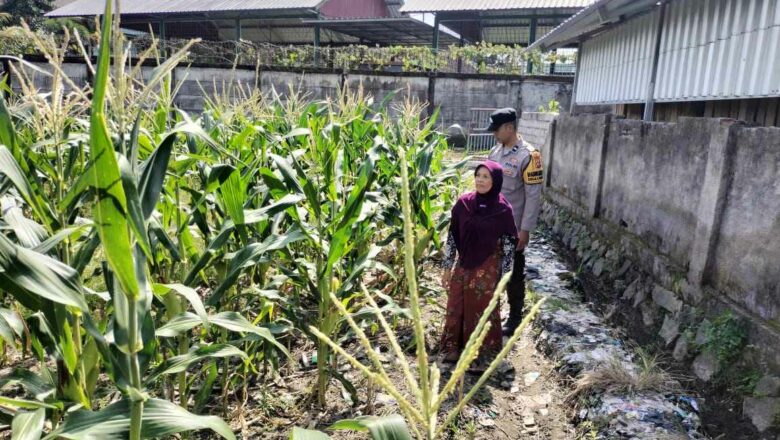 Bhabinkamtibmas Labuapi Ajak Petani Manfaatkan Lahan Kosong